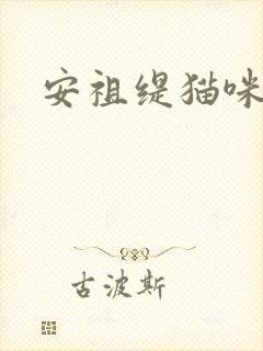 安祖缇猫咪抱抱