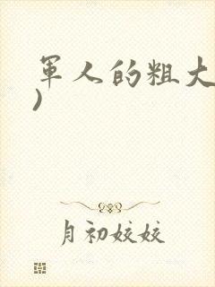 军人的粗大(h)