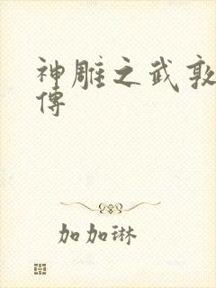 神雕之武敦儒大传