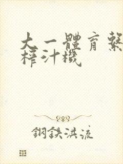 大一体育系精牛榨汁机