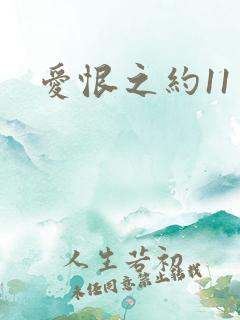 爱恨之约11