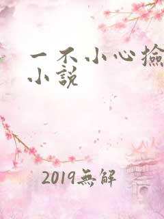 一不小心捡到爱小说