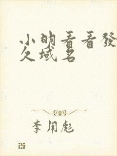 小明看看发布永久域名