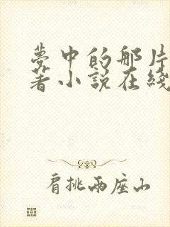 梦中的那片海原著小说在线阅读