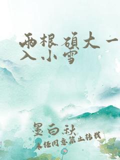 两根硕大一起挤入小雪