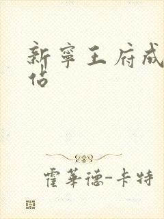 新宁王府成人网站