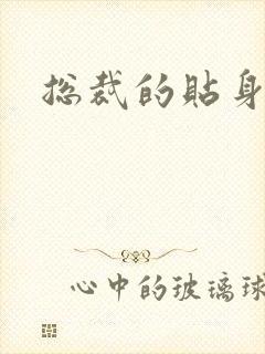 总裁的贴身冷秘