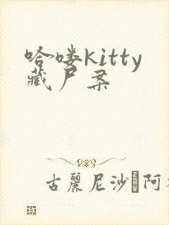 哈喽kitty藏尸案