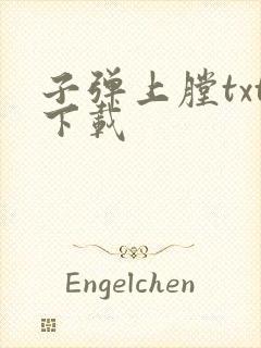 子弹上膛txt下载