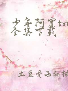 少年阿宾txt全集下载