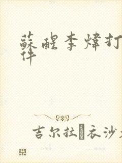 苏醒李炜打架事件