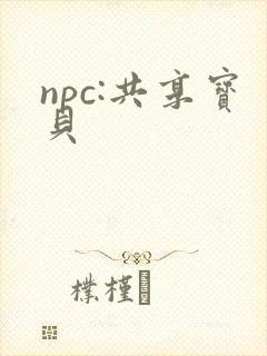 npc:共享宝贝