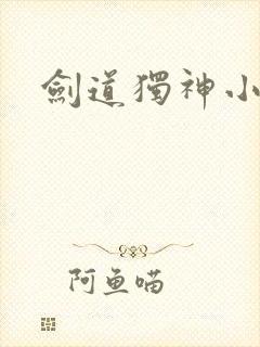 剑道独神小说