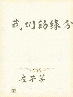 我们的缘分小说