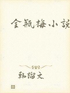 金瓶梅小说下载