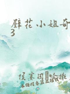 壁花小姐奇遇记3