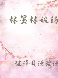 林墨林婉的小说