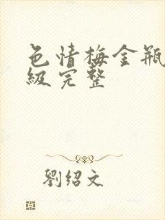 色情梅金瓶2三级完整