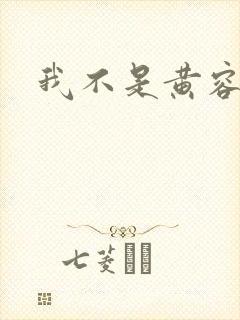 我不是黄容