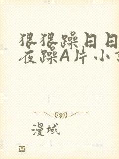 狠狠躁日日躁夜夜躁A片小说