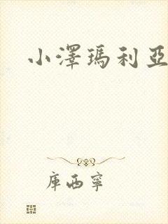 小泽玛利亚作品