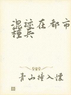 混迹在都市的特种兵