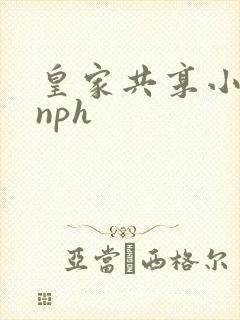 皇家共享小公主nph