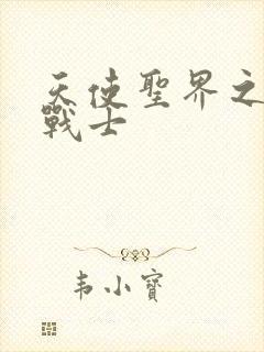 天使圣界之神之战士