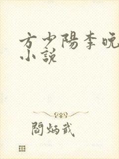 方少阳李晚晴的小说