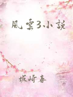 风云3小说