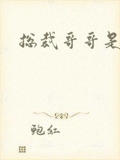 总裁哥哥是我的