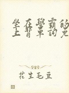 坐在学霸的棍子上背单词免费视频