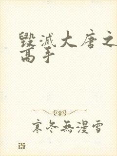 毁灭大唐之异能高手