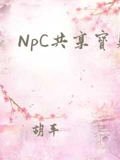 NpC共享宝贝