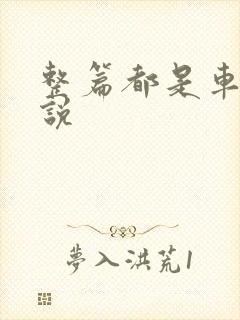 整篇都是车的小说