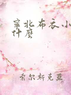 宁北布衣小说叫什么