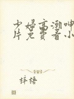 少妇高潮呻吟A片免费看小说