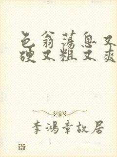 色翁荡息又大又硬又粗又爽