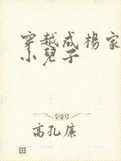 穿越成杨家将最小儿子