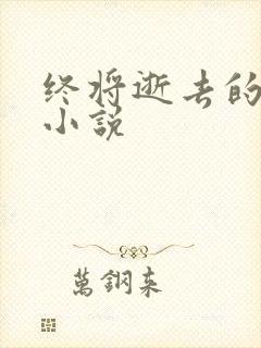 终将逝去的青春小说