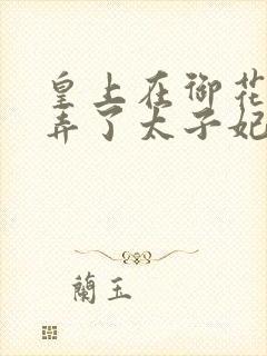 皇上在御花园c弄了太子妃