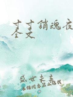 寸寸销魂夜春光全文