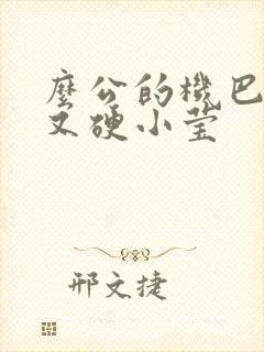 么公的机巴又粗又硬小莹