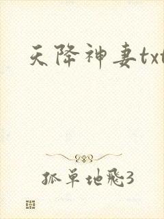 天降神妻txt
