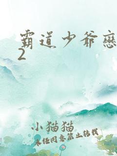 霸道少爷恋上我2