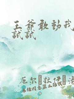 王爷敢动我妈咪试试
