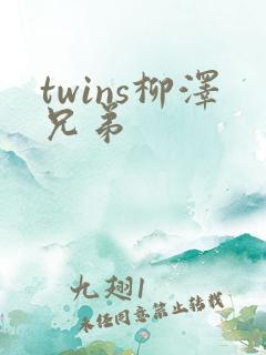 twins柳泽兄弟