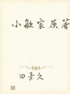 小敏家原著小说
