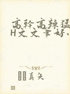 高干高辣猛高辣H文文笔好小说