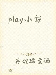 play小说